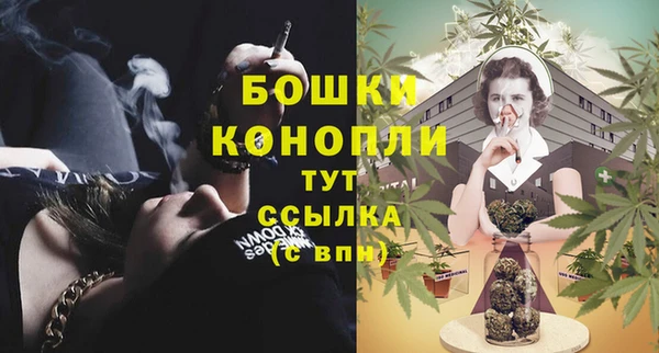 крисы Инта