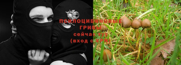 экстази Каменка