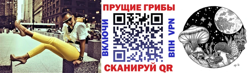 Галлюциногенные грибы Psilocybe  Купить где  Болотное 
